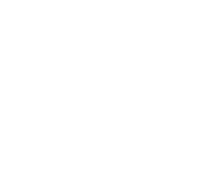 Logo der Point Guard Security GmbH in Dortmund